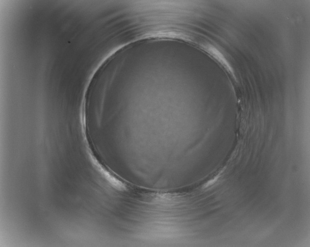 X0000071911084200607212036