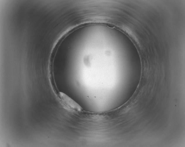 X0000071911085200607212036