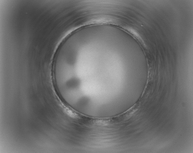 X0000071911086200607212036