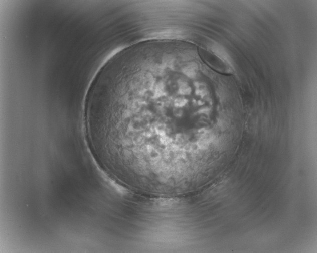 X0000071911087200607212036