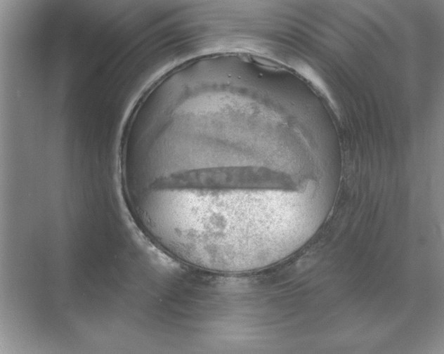 X0000071911088200607212036