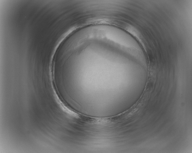 X0000071911090200607212036