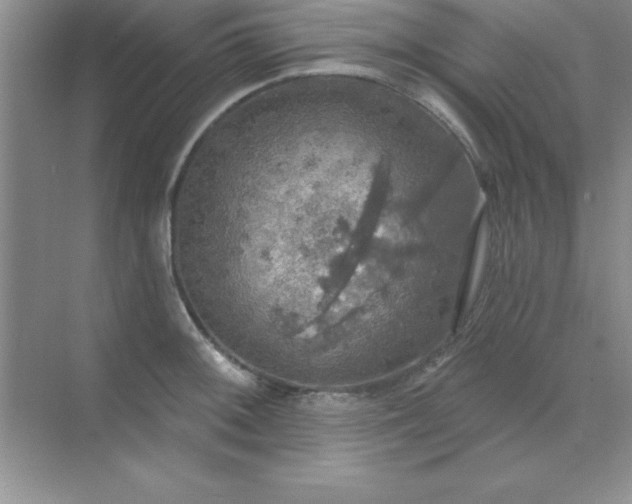 X0000071911092200607212036