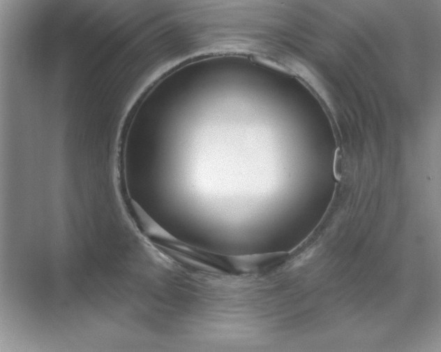 X0000071911093200607212036