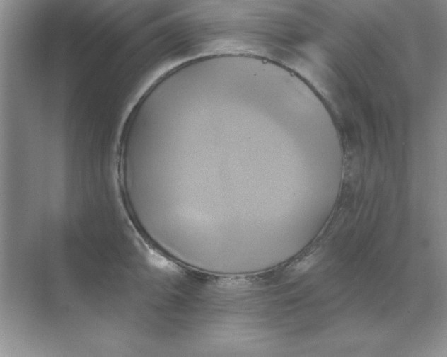 X0000071911094200607212036