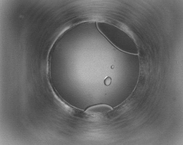 X0000071911095200607212036