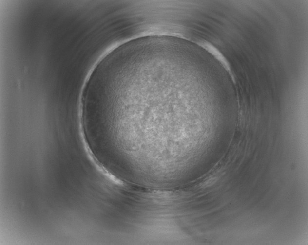 X0000071911096200607212036