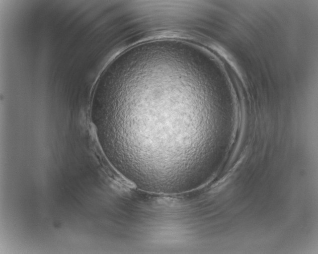 X0000071911097200607212036