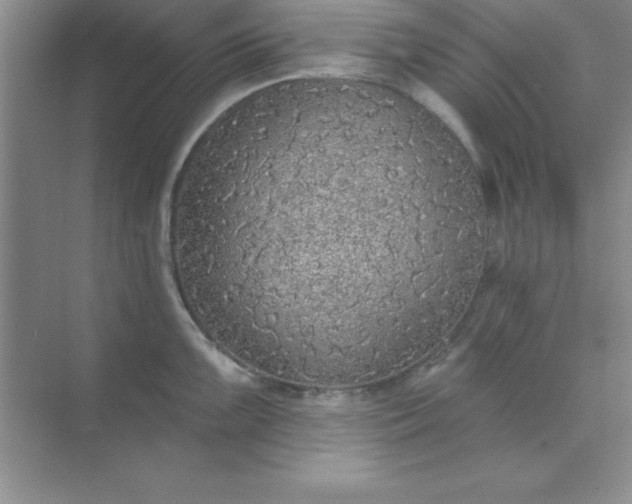 X0000071911099200607212036