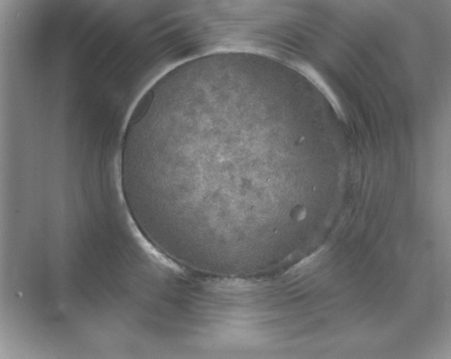 X0000071911100200607212036