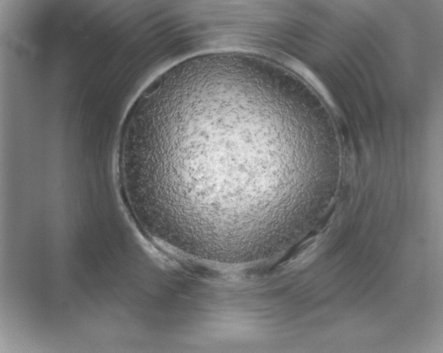 X0000071911101200607212036