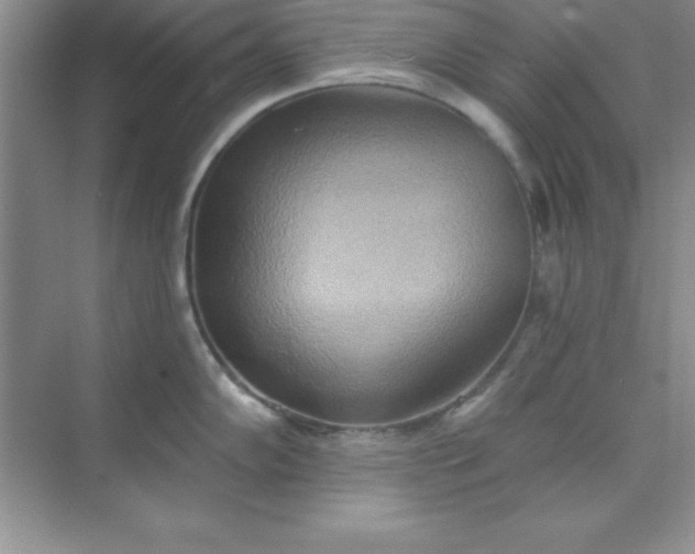 X0000071911102200607212036