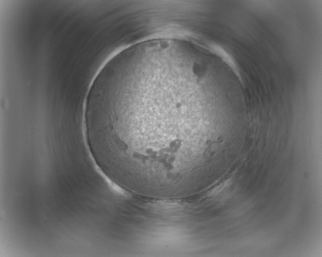 X0000071911103200607212036