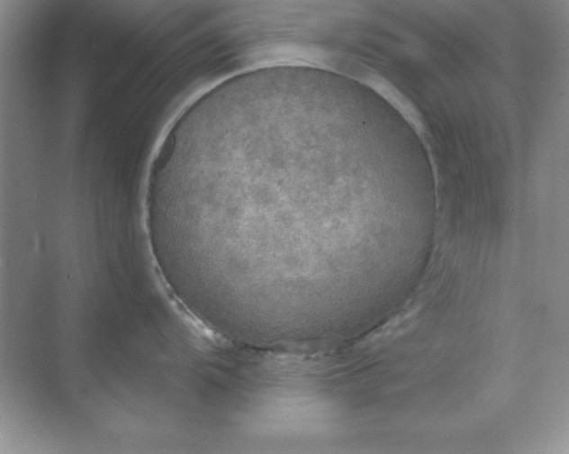 X0000071911104200607212036