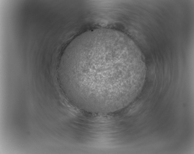 X0000071911105200607212035