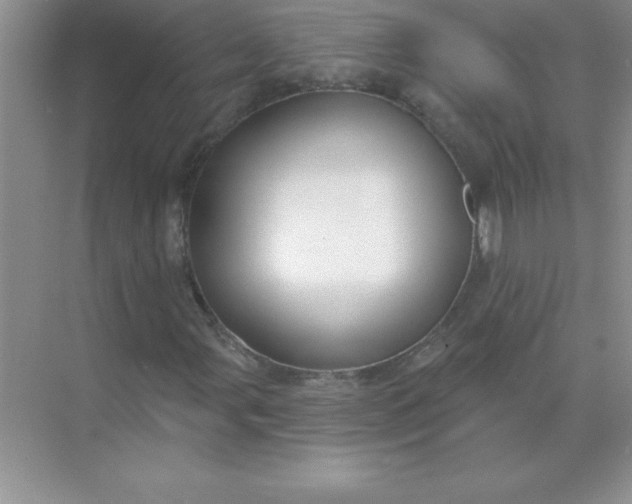 X0000071911107200607212035