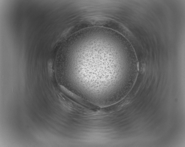 X0000071911108200607212035