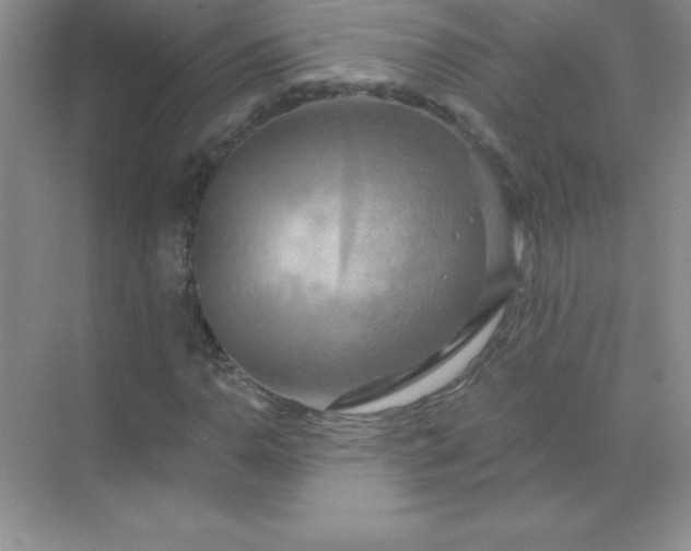 X0000071911110200607212035