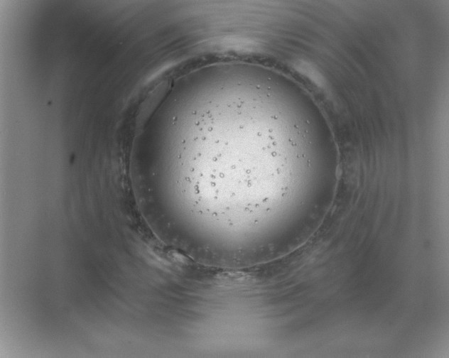 X0000071911112200607212035