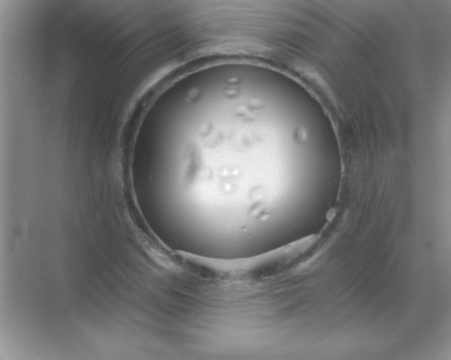 X0000071911114200607212035