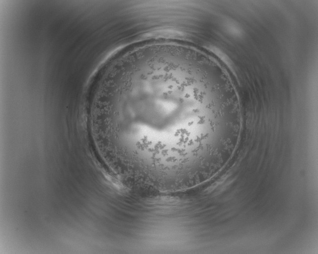 X0000071911115200607212035