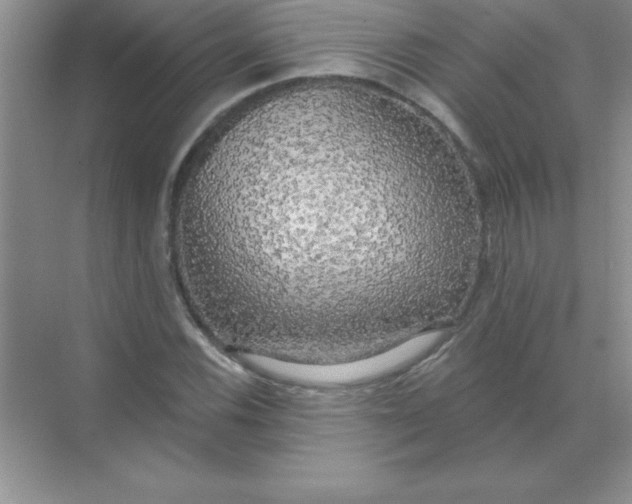 X0000071911116200607212035