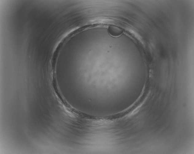 X0000071911117200607212035