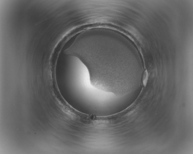 X0000071911118200607212035