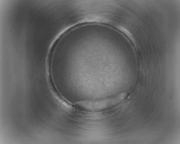 X0000071911120200607212035