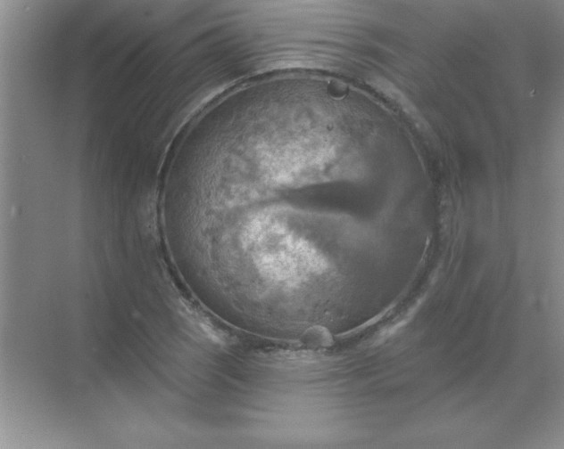 X0000071911121200607212035