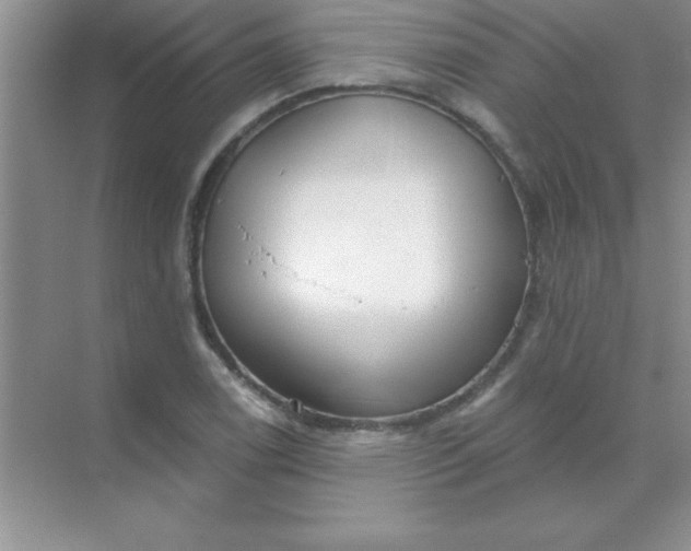 X0000071911122200607212035