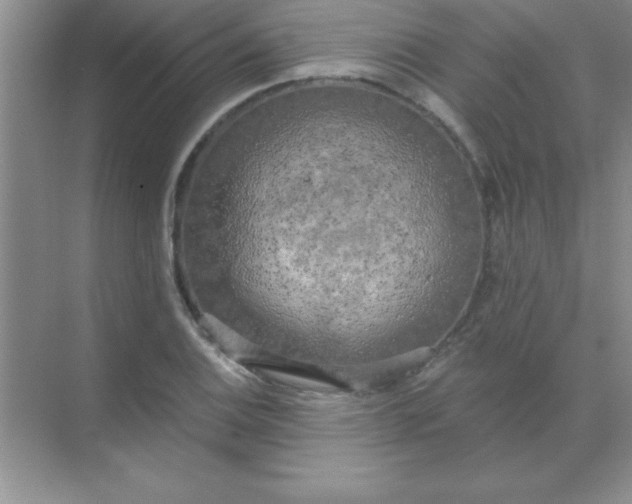 X0000071911124200607212035