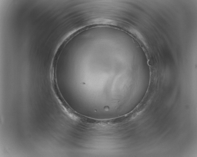 X0000071911125200607212035