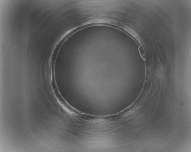 X0000071911127200607212035