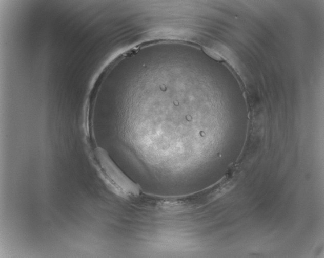 X0000071911128200607212035