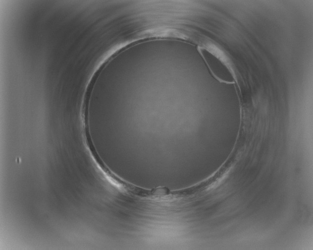 X0000071911141200607212035