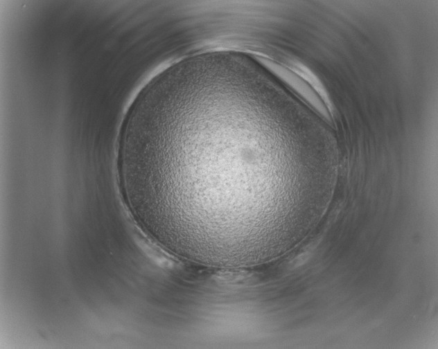 X0000071911146200607212036