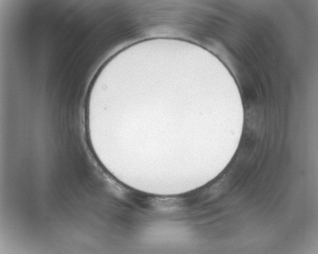 X0000071911150200607212036