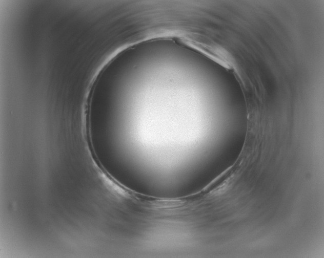 X0000071911151200607212036