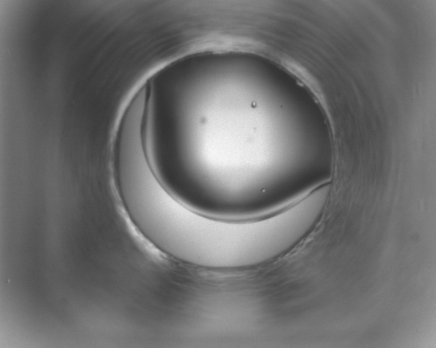 X0000071911152200607212036