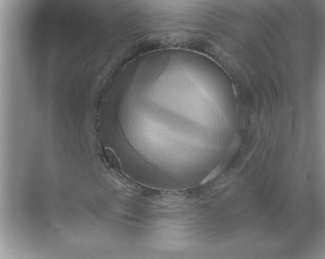 X0000071911153200607212035