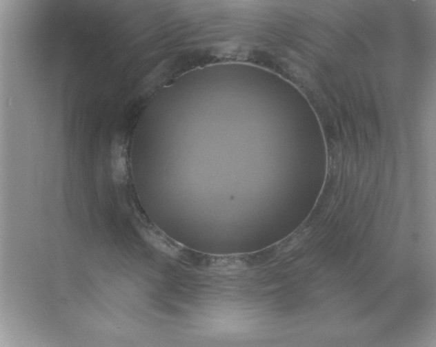 X0000071911154200607212035