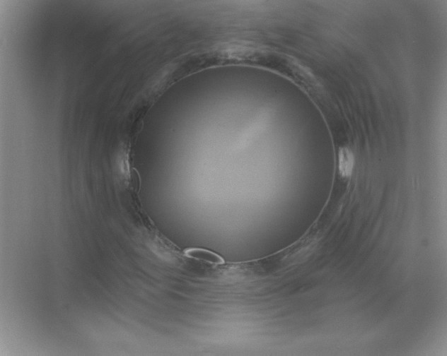 X0000071911155200607212035