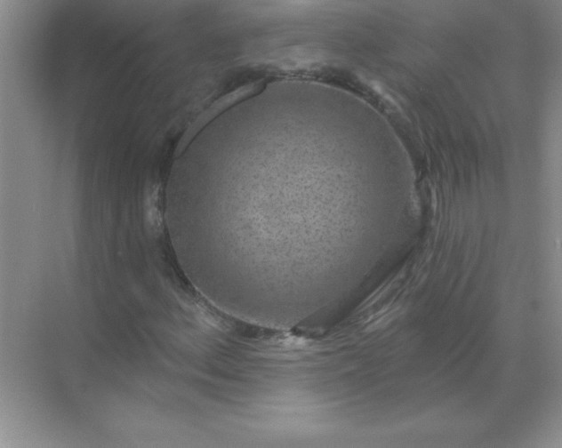 X0000071911156200607212035