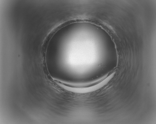 X0000071911160200607212035