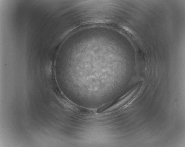 X0000071911161200607212035