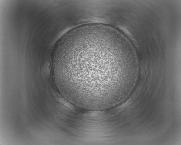 X0000071911163200607212035