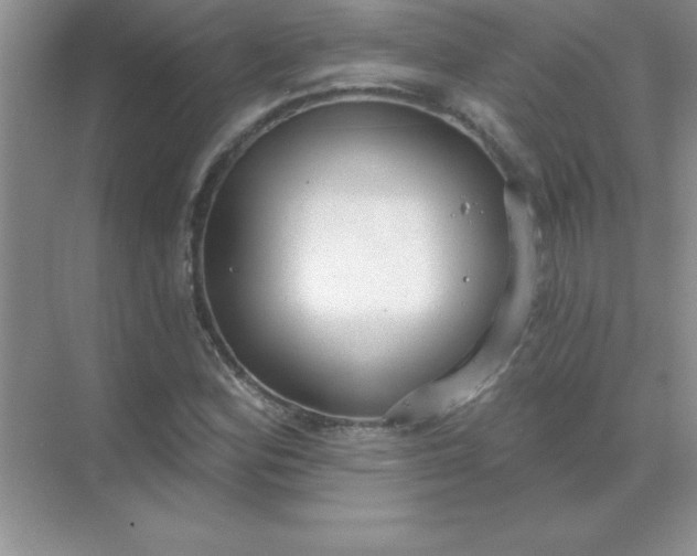 X0000071911164200607212035