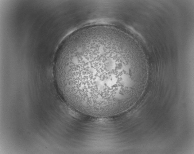 X0000071911166200607212035