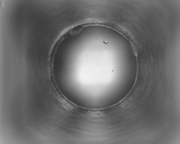 X0000071911168200607212035